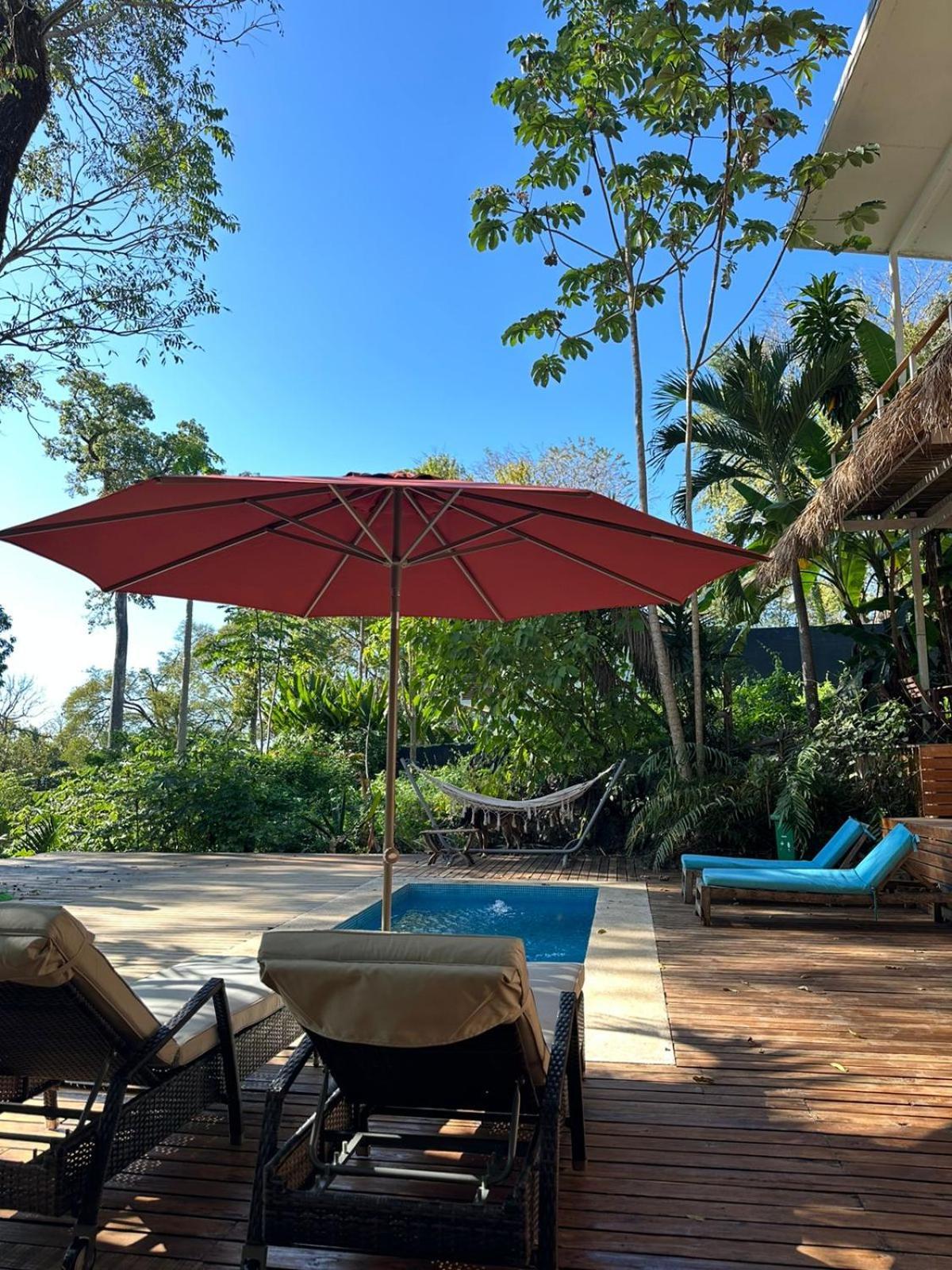 La Sana Surf Hotel, New Management, Few Mn Drive To The Beach Playa Santa Teresa  Luaran gambar